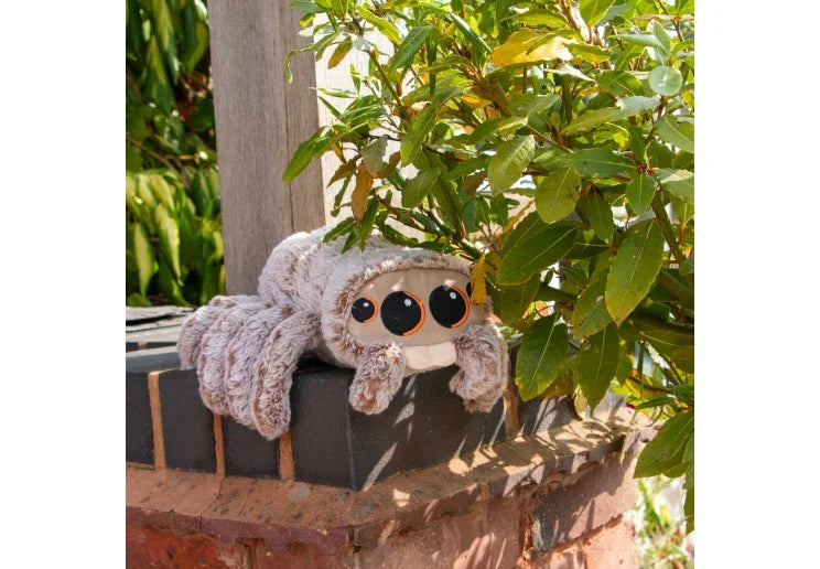 Ancol Cuddle Sid Spider - North East Pet Shop Ancol