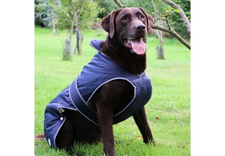 Stormguard Dog Coat Navy M - North East Pet Shop Ancol