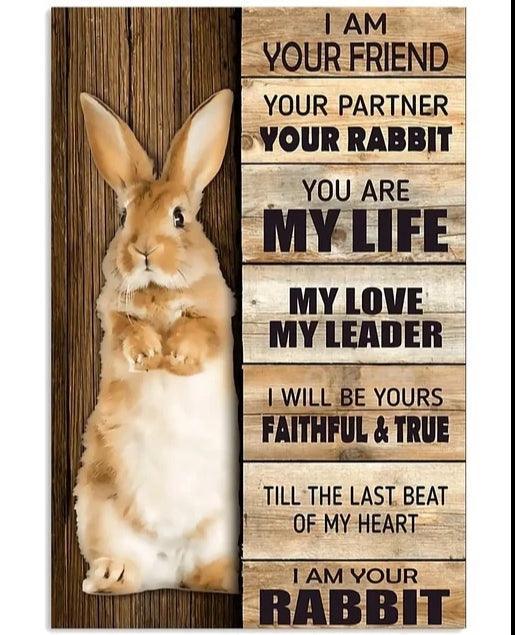 Various Rabbit Tin Sign - North East Pet Shop Dog Shack UK