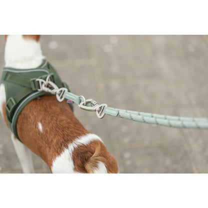 Trixie Summit Reflect Adjustable Lead