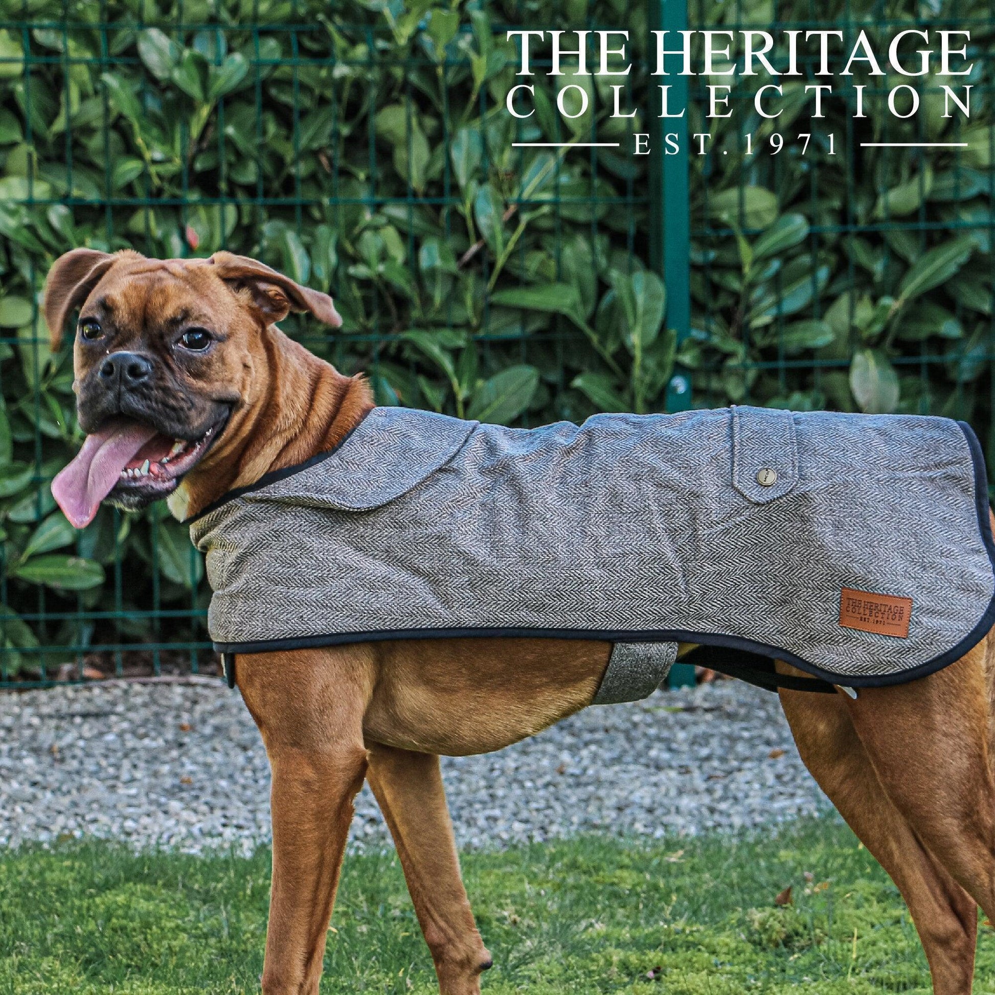 Ancol Heritage Collection Herringbone Coat Large 50cm - North East Pet Shop Ancol