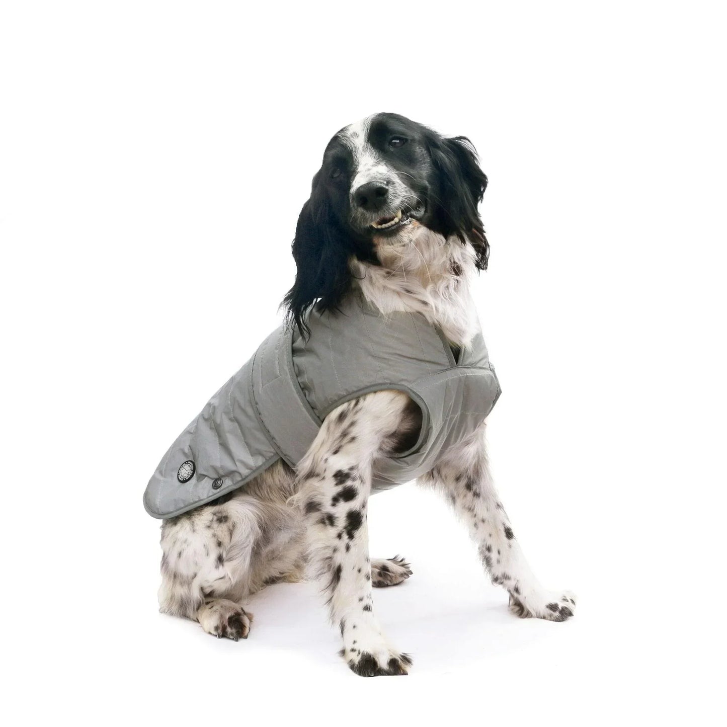 Ancol Muddy Paws Ultimate Reflective Dog Coat Small/Medium - North East Pet Shop Ancol