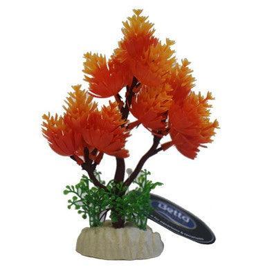 Betta 5Inch Orange Tree - North East Pet Shop Betta