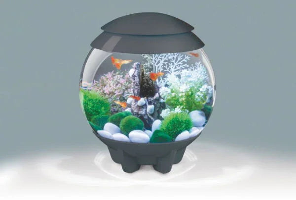 Biorb Halo 15 Multi Coloured Light Grey 15ltr - North East Pet Shop Biorb