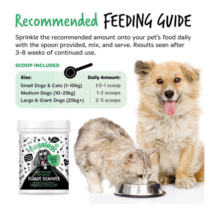 Bugalugs Plaque Remover, 70g - North East Pet Shop Bugalugs