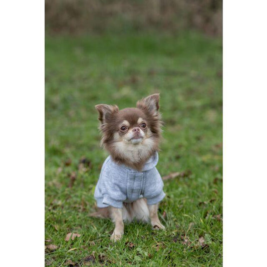 Hoodie Rainbow Falls - North East Pet Shop Trixie