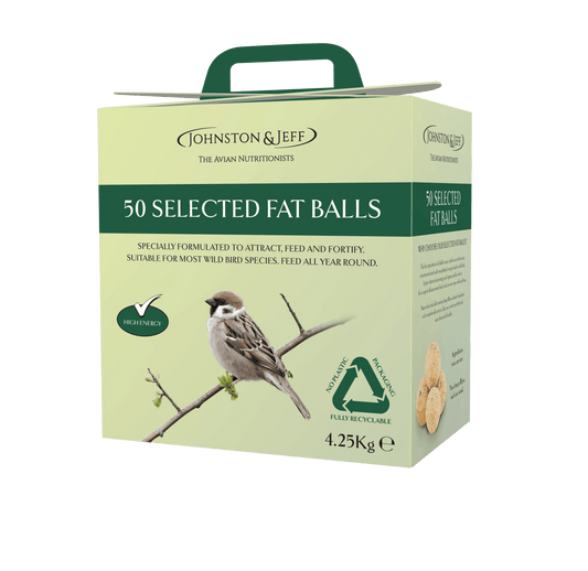 Johnston & Jeff Fatballs Refill No Nets Box x50 - North East Pet Shop Johnston & Jeff