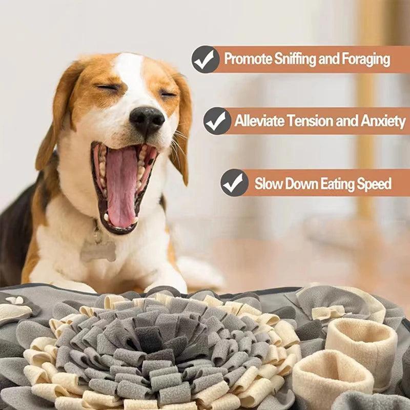 New Pet Treat Puzzle Mat - North East Pet Shop Dog Shack UK