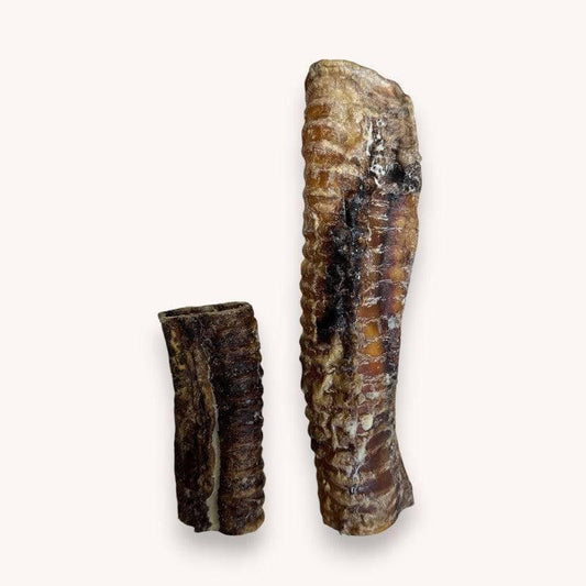 Ostrich Trachea - North East Pet Shop Dog Shack UK