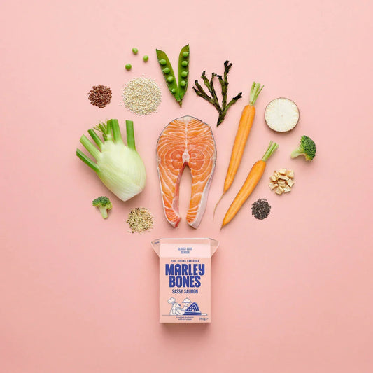 Pantry Fresh® Salmon 390g x 12 - North East Pet Shop Marley Bones