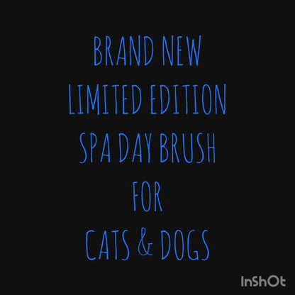 Spa Day Brush for Cats & Dogs
