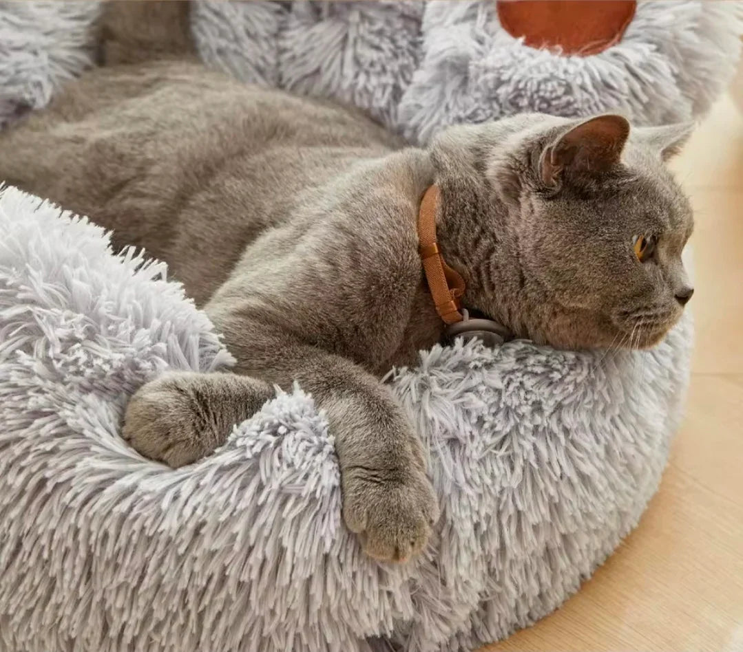 Plush Paw Big Bed