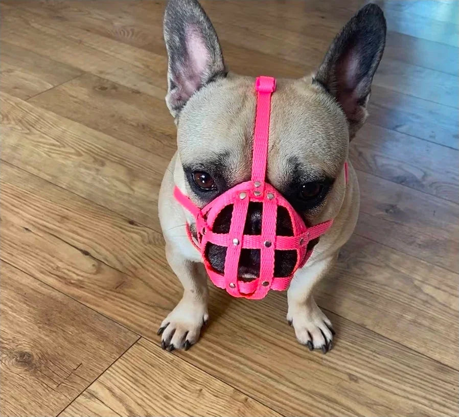 Dog Muzzle for French Bulldog "Frenchies" a Other similar snouts short snout