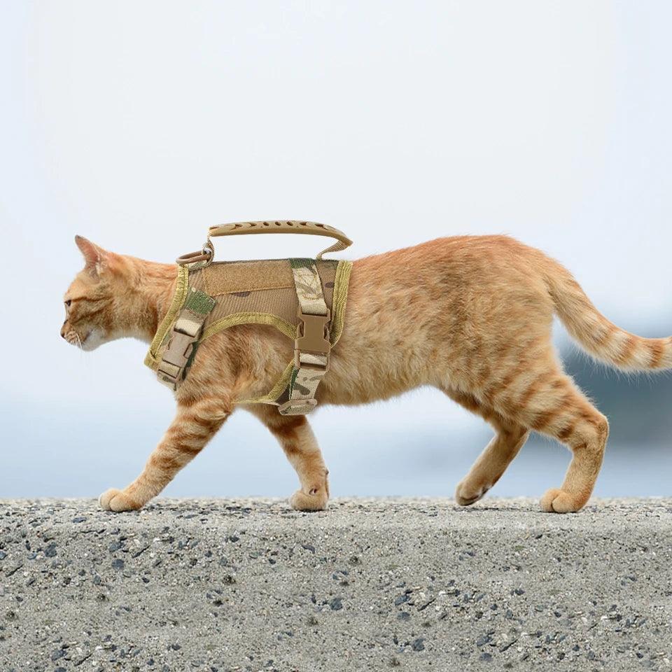 Tactical Cat Harness & Lead - North East Pet Shop Dog Shack UK