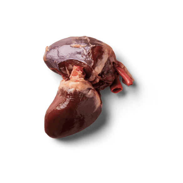 Turkey Hearts 500g - North East Pet Shop Nutriment