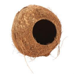 Hamster Coconut Hut - North East Pet Shop Living World